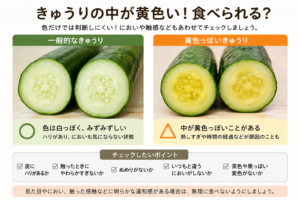 中が黄色っぽく見えるきゅうりの断面